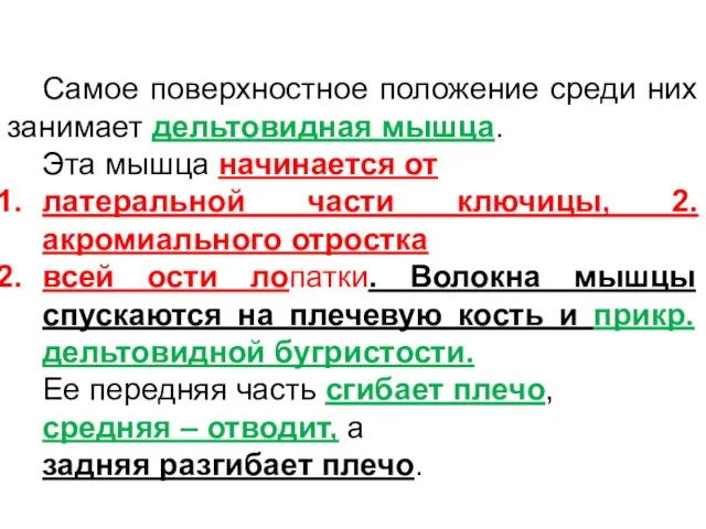 Самое поверхностное положение среди них занимает дельтовидная мышца. Эта мышца начинается