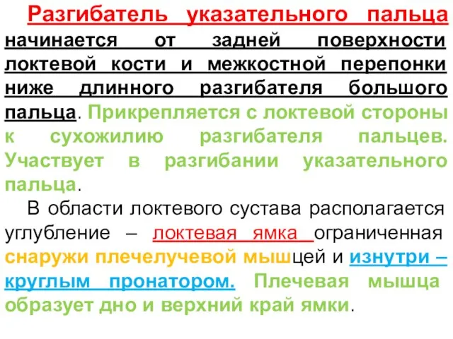 Разгибатель указательного пальца начинается от задней поверхности локтевой кости и межкостной