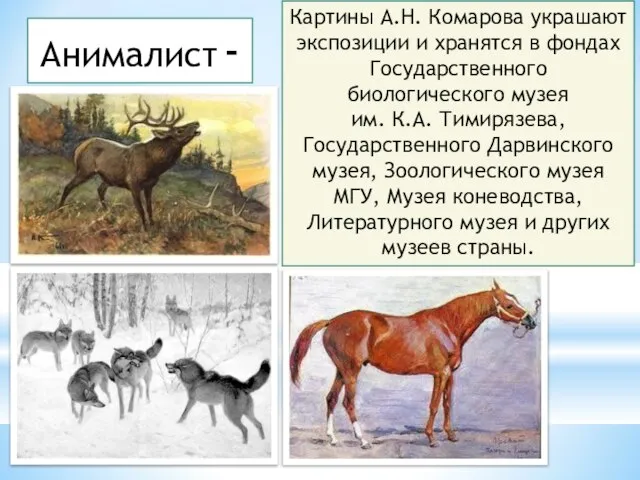 художник, который изображает животных. Animal(англ.) – животное. Анималист - А.Н.Комаров иллюстрировал