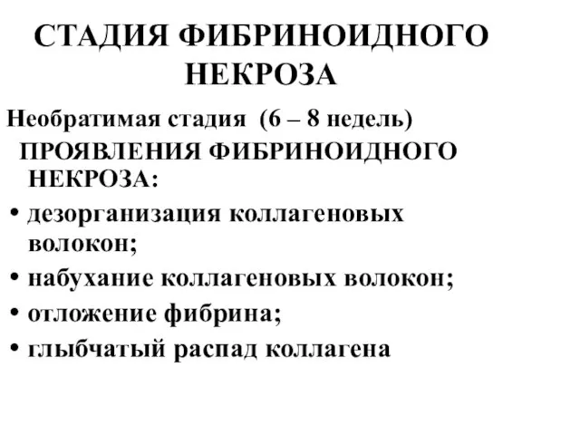 СТАДИЯ ФИБРИНОИДНОГО НЕКРОЗА Необратимая стадия (6 – 8 недель) ПРОЯВЛЕНИЯ ФИБРИНОИДНОГО