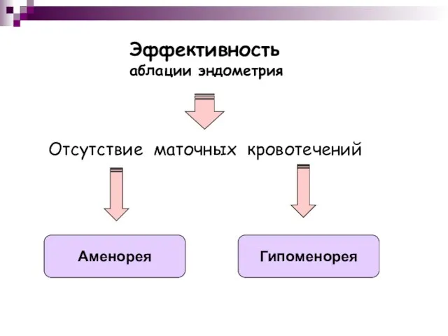 Эффективность аблации эндометрия Отсутствие маточных кровотечений Аменорея Гипоменорея