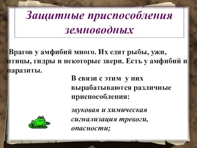 Защитные приспособления земноводных Врагов у амфибий много. Их едят рыбы, ужи,