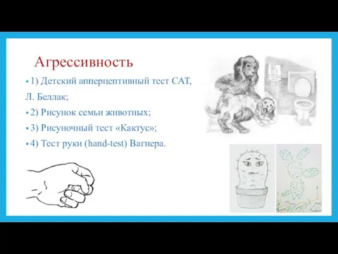 Агрессивность 1) Детский апперцептивный тест САТ, Л. Беллак; 2) Рисунок семьи