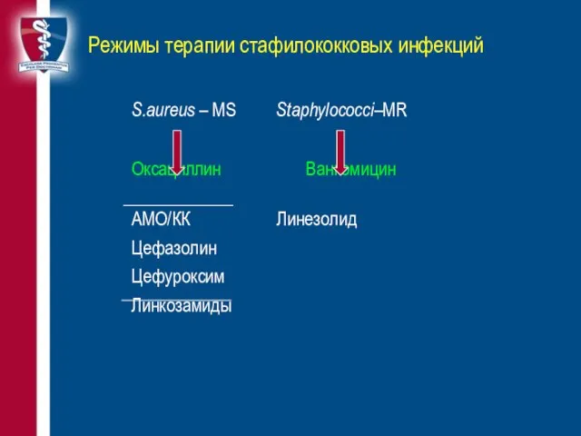 Режимы терапии стафилококковых инфекций S.aureus – MS Staphylococci–MR Оксациллин Ванкомицин АМО/КК Линезолид Цефазолин Цефуроксим Линкозамиды