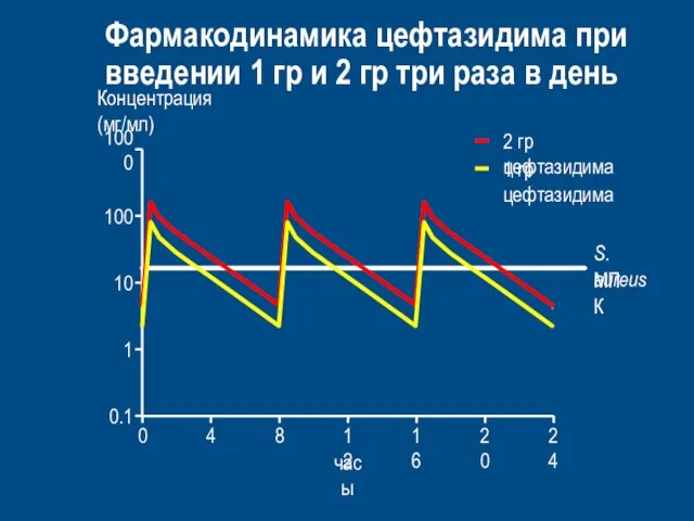 S. aureus MПК Фармакодинамика цефтазидима при введении 1 гр и 2