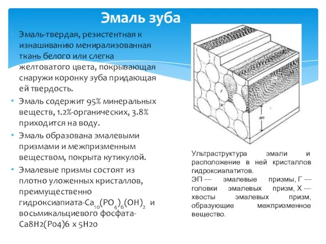 Эмаль-твердая, резистентная к изнашиванию менирализованная ткань белого или слегка желтоватого цвета,