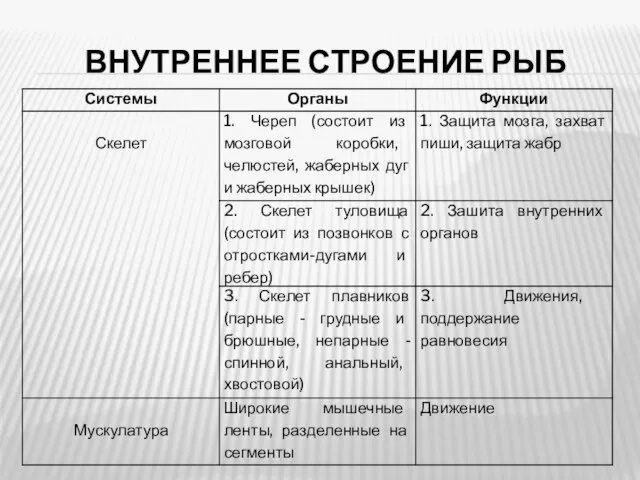 ВНУТРЕННЕЕ СТРОЕНИЕ РЫБ