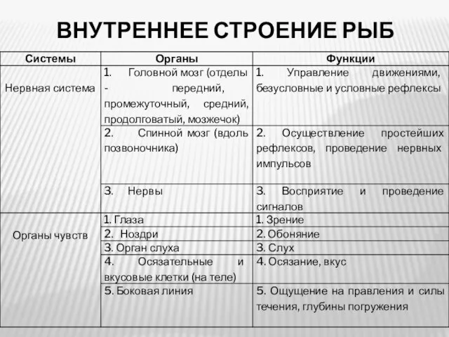 ВНУТРЕННЕЕ СТРОЕНИЕ РЫБ