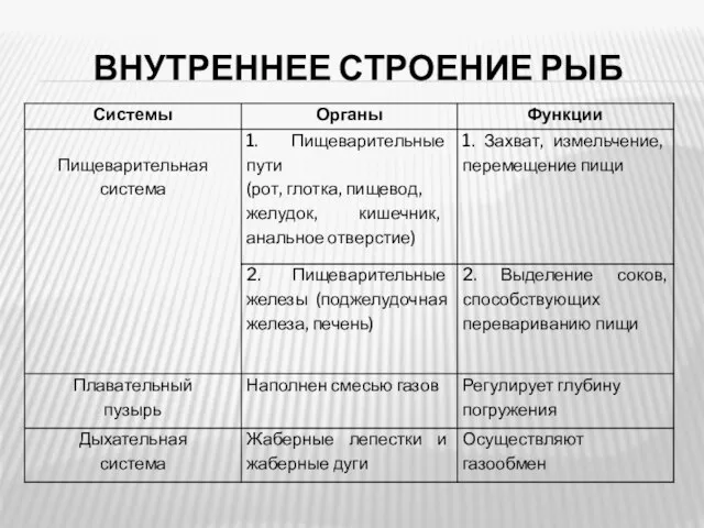 ВНУТРЕННЕЕ СТРОЕНИЕ РЫБ