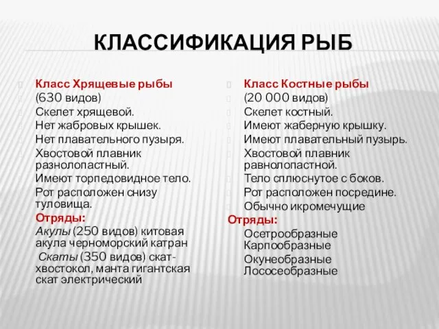 КЛАССИФИКАЦИЯ РЫБ Класс Хрящевые рыбы (630 видов) Скелет хрящевой. Нет жабровых