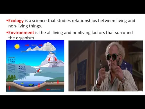 Ecology is a science that studies relationships between living and non-living