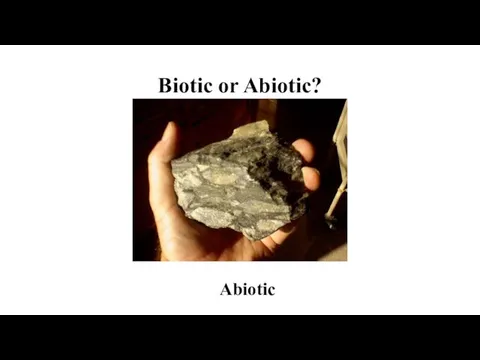 Biotic or Abiotic? Abiotic