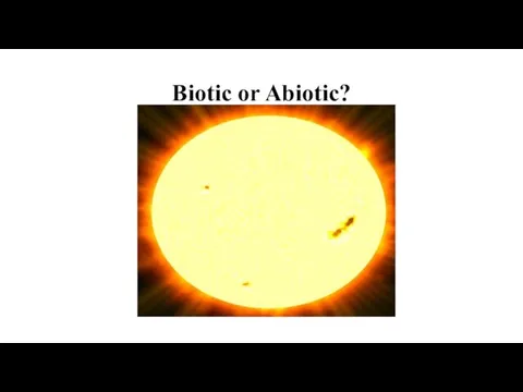 Biotic or Abiotic?