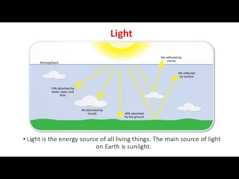 Light Light is the energy source of all living things. The