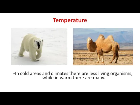 Temperature In cold areas and climates there are less living organisms,
