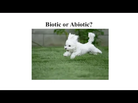 Biotic or Abiotic?