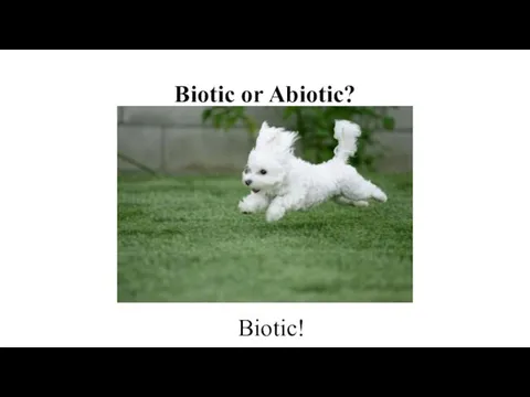 Biotic or Abiotic? Biotic!
