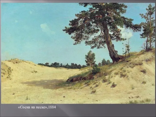 «Сосна на песке»,1884