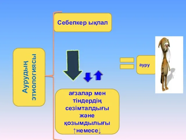 Себепкер ықпал ағзалар мен тіндердің сезімталдығы және қозымдылығы ↑немесе↓ ауру Аурудың этиологиясы