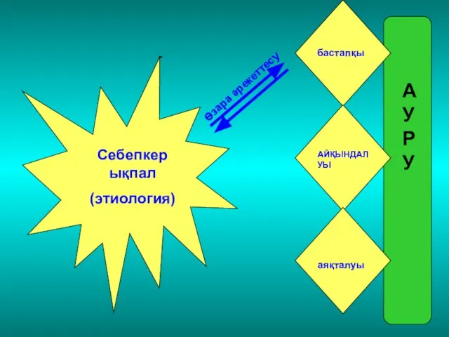 Себепкер ықпал (этиология) бастапқы АЙҚЫНДАЛУЫ аяқталуы АУРУ Өзара әрекеттесу