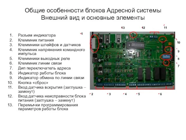 Общие особенности блоков Адресной системы Внешний вид и основные элементы Разъем