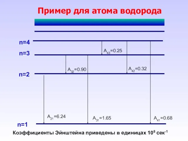 Пример для атома водорода n=1 n=2 n=3 n=4 A21=6.24 A31=1.65 A41=0.68