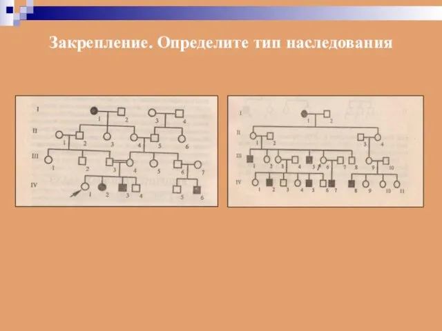 Закрепление. Определите тип наследования