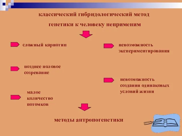 классический гибридологический метод генетики к человеку неприменим сложный кариотип позднее половое