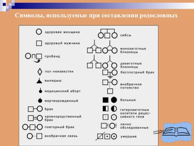 Символы, используемые при составлении родословных