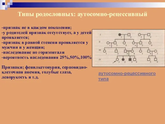 Типы родословных: аутосомно-рецессивный аутосомно-рецессивного типа -признак не в каждом поколении; -у