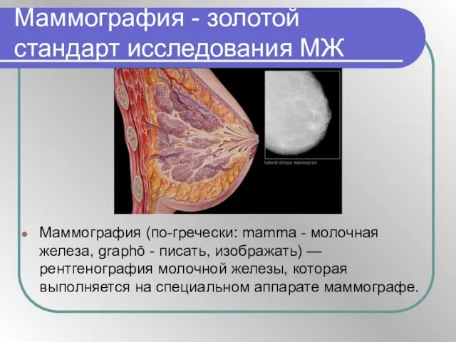 Маммография - золотой стандарт исследования МЖ Маммография (по-гречески: mamma - молочная