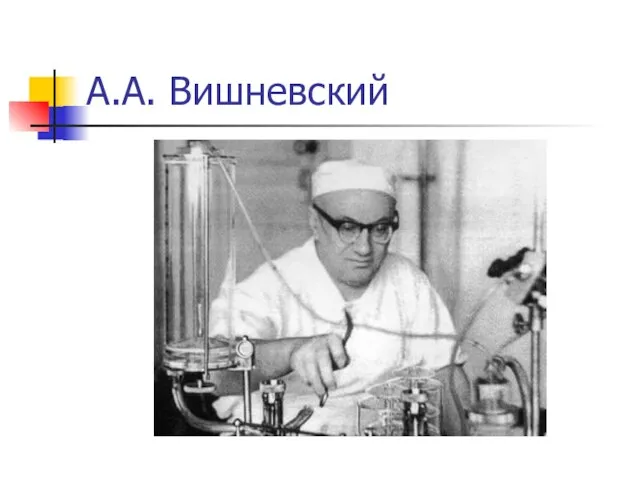 А.А. Вишневский