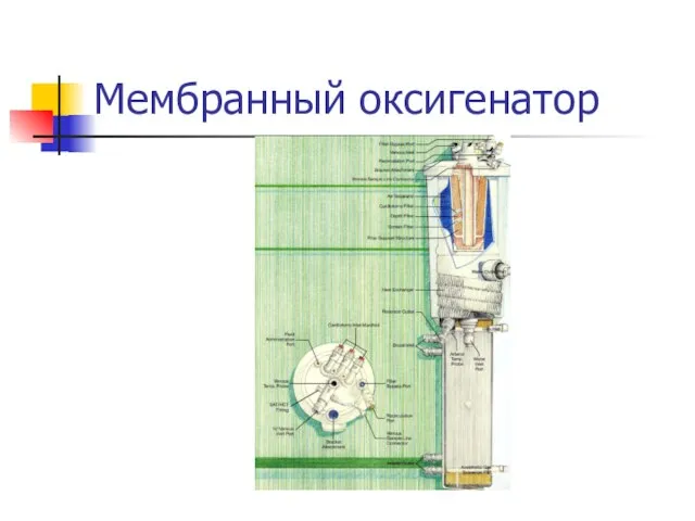 Мембранный оксигенатор