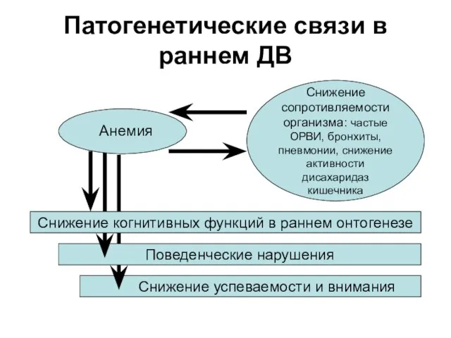 Снижение успеваемости и внимания Поведенческие нарушения Патогенетические связи в раннем ДВ