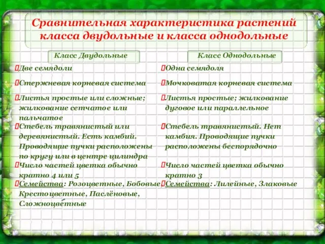 Сравнительная характеристика растений класса двудольные и класса однодольные