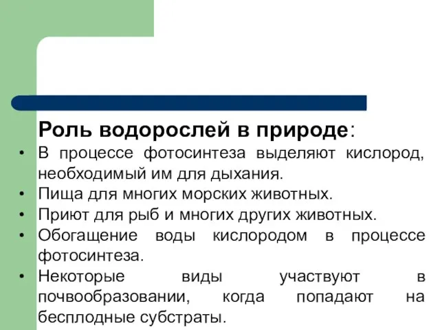 Роль водорослей в природе: В процессе фотосинтеза выделяют кислород, необходимый им