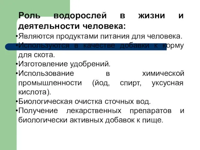 Роль водорослей в жизни и деятельности человека: Являются продуктами питания для