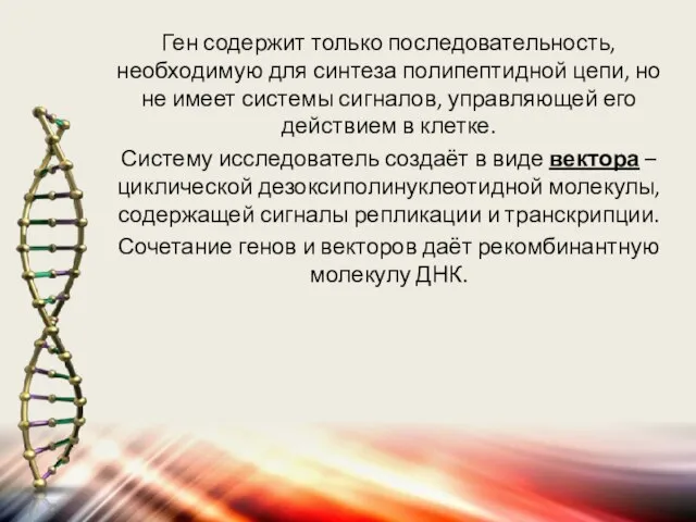 Ген содержит только последовательность, необходимую для синтеза полипептидной цепи, но не