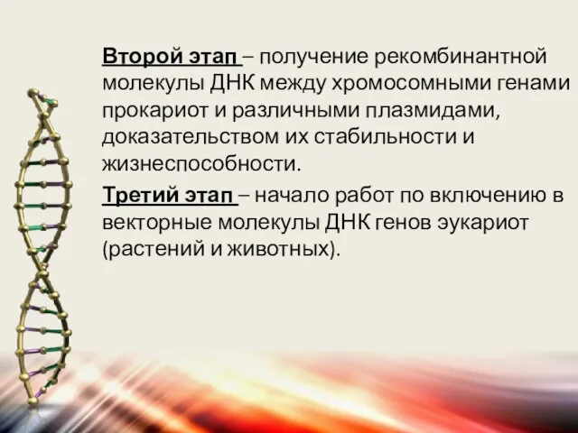 Второй этап – получение рекомбинантной молекулы ДНК между хромосомными генами прокариот