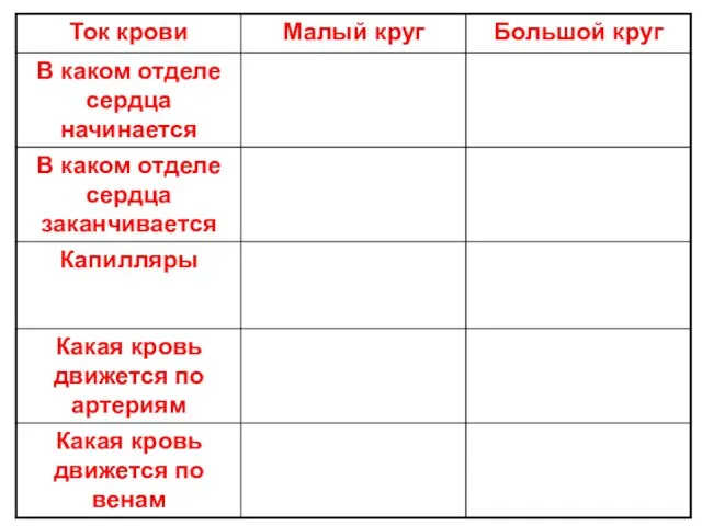 Ток крови в кругах кровообращения