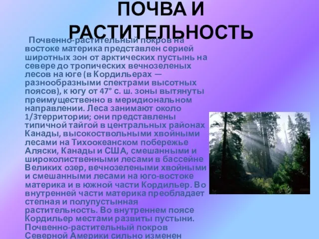 ПОЧВА И РАСТИТЕЛЬНОСТЬ Почвенно-растительный покров на востоке материка представлен серией широтных