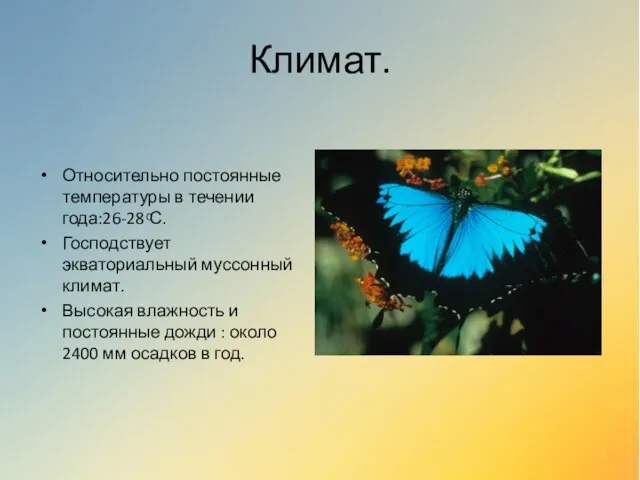 Климат. Относительно постоянные температуры в течении года:26-28 ͦС. Господствует экваториальный муссонный