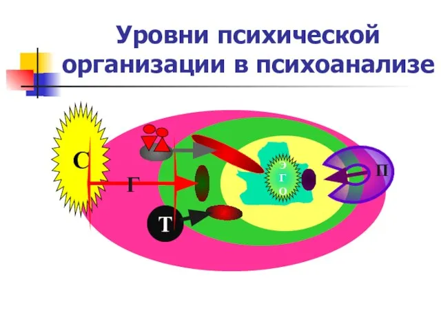 Уровни психической организации в психоанализе П Т С Г ЭГО