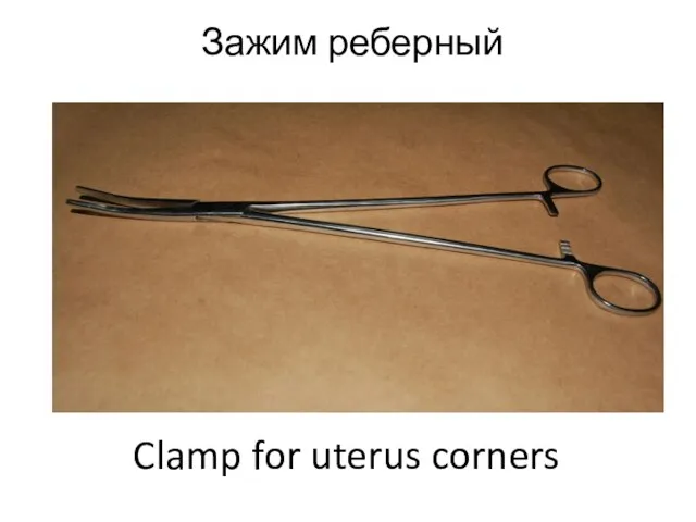 Зажим реберный Clamp for uterus corners
