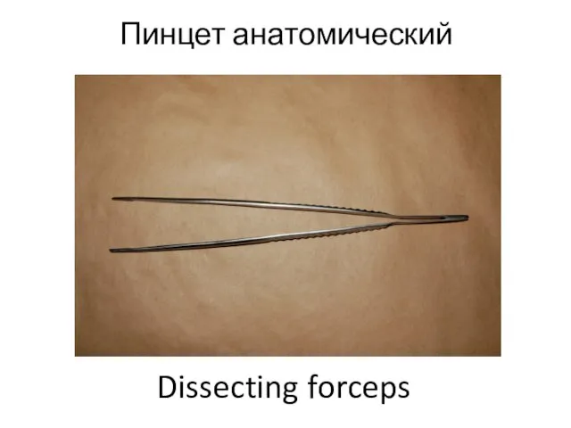 Пинцет анатомический Dissecting forceps