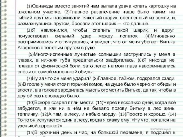 (1)Однажды вместо занятий нам выпала удача копать картошку на школьном участке.