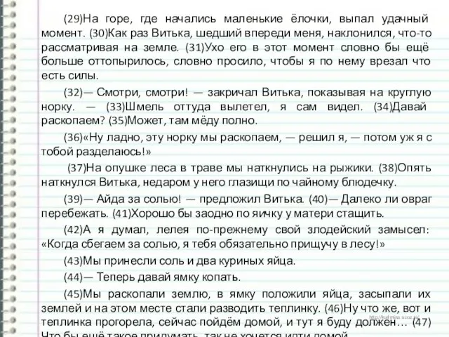 (29)На горе, где начались маленькие ёлочки, выпал удачный момент. (30)Как раз