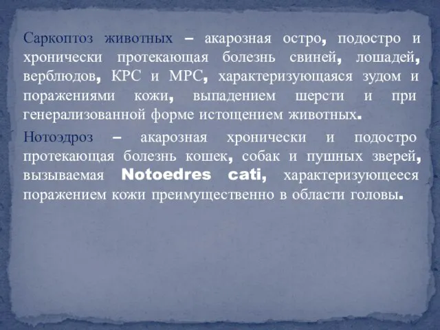 Саркоптоз животных – акарозная остро, подостро и хронически протекающая болезнь свиней,