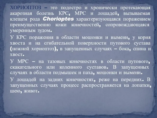 ХОРИОПТОЗ – это подостро и хронически протекающая акарозная болезнь КРС, МРС