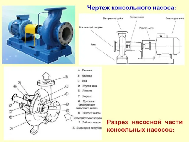 Разрез насосной части консольных насосов: Чертеж консольного насоса: